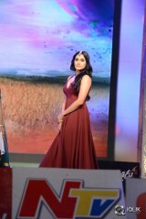 Speedunnodu Movie Audio Launch